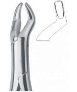 Molars and third molars 10S