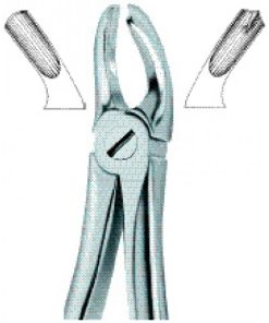 Molars,Left 18