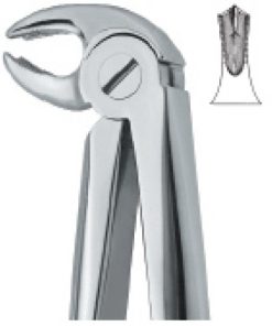 Lower Molars ,Universal 22