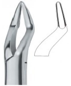 Parmly Molars and Bicuspids , Roots 32A