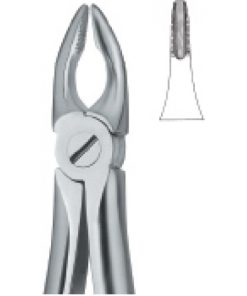 Incisors and Bicuspids 34N
