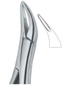 Tomes Roots Fragments and Small Roots 69