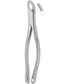 Cryer Bicuspids , Incisors and Roots 150