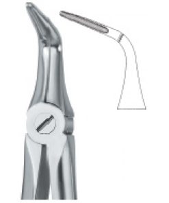 Lower Roots 46