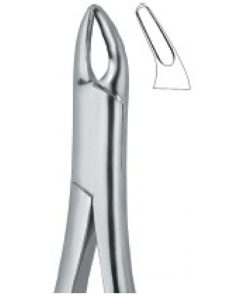 Cryer Bicuspids and Incisors , Roots 150S