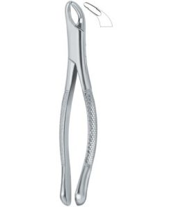 Cryer Bicuspids , Incisors and Roots 151