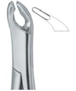 Cryer Bicuspids , Incisors and Roots 151A