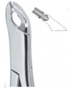 Cryer Bicuspids , Incisors and Roots 151X