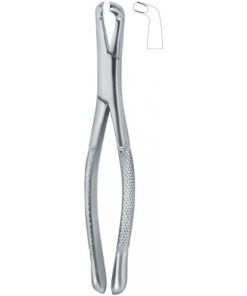 Third Molars 222