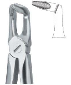 Third Molars ,Deep Gripping 79N