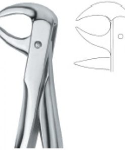 Molars with carious or broken caps 86C