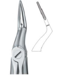 Tooth Ext Forceps