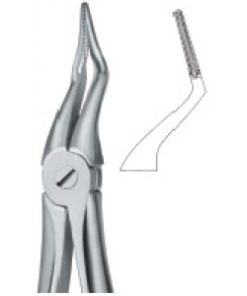 Tooth Ext Forceps
