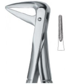 Roots, with Parallel beak 233