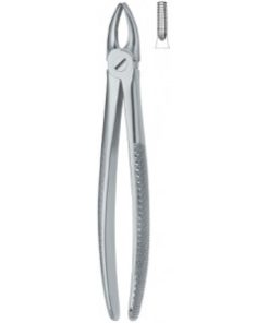 Incisors and Bicuspids 1