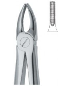 Incisors and Bicuspids 2