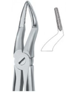 Roots , With Fine Beak 51A