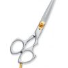 Professional hair Cutting Scissors