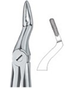 Martin Ergo ,Very Fine Roots 97