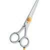 Professional hair Cutting Scissors
