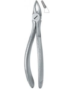 Incisors and Roots 30S