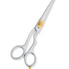 Professional hair Cutting Scissors