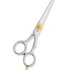 Professional hair Cutting Scissors