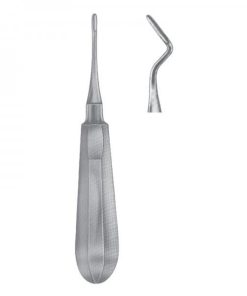 Apical 46 RR